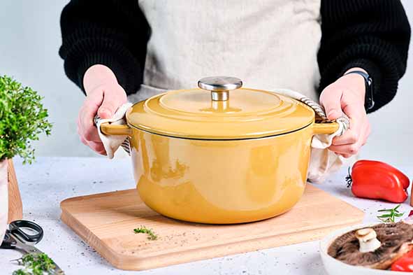 Round cast iron pot & roaster “Fontastic” with lid