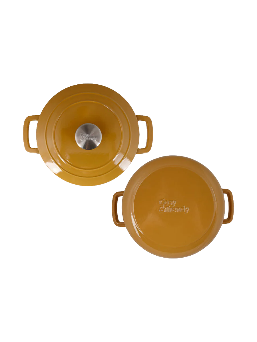 Round cast iron pot & roaster “Fontastic” with lid
