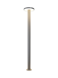 Forest Outdoor LED Landscape Light — DarkSky Certified 