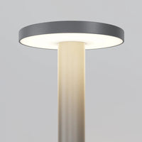 Forest Outdoor LED Landscape Light — DarkSky Certified 