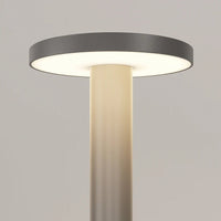 Forest Outdoor LED Landscape Light — DarkSky Certified 